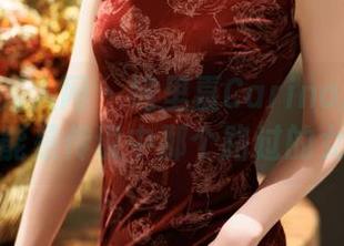 Xiuren秀人网 - 绮里嘉Carina原图：我想这可能是传说中那个路过的女孩吧？