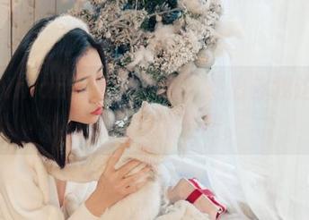 年年Nnian万圣节合集，跳出你我这一小撮的狂欢圈子吧。