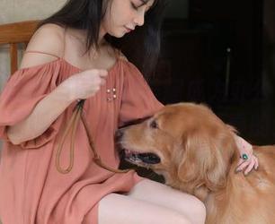 异思趣向 - 当同事的美腿成为办公室的焦点：姗姗的写真壁纸，看了真的分心