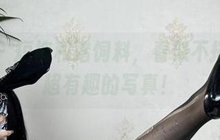微密圈 - 短裤和猪饲料，看似不搭，实际超有趣的写真！
